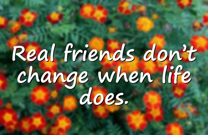 friendship quotes - 6
