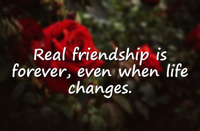 friendship quotes - 1