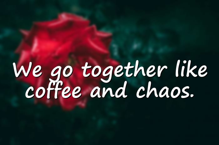 funny friendship quotes - 21