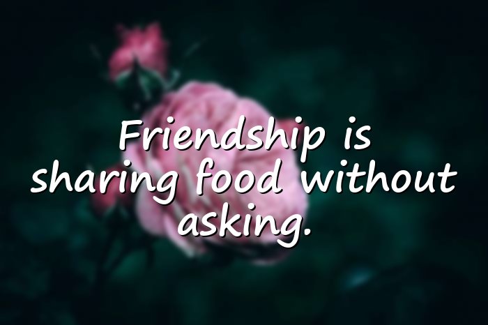funny friendship quotes - 16