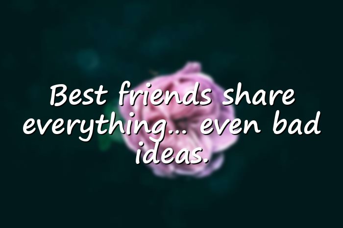 funny friendship quotes - 16