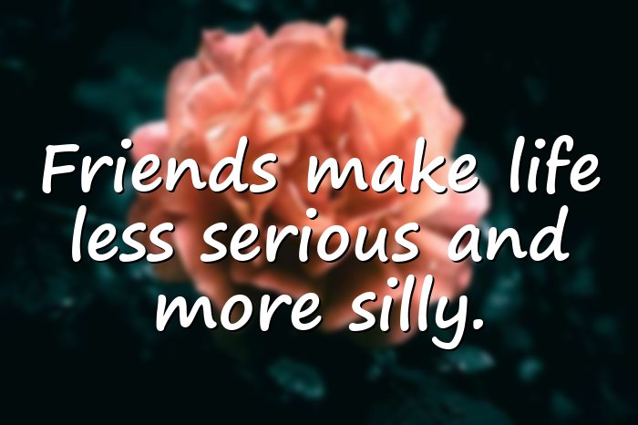 funny friendship quotes - 6