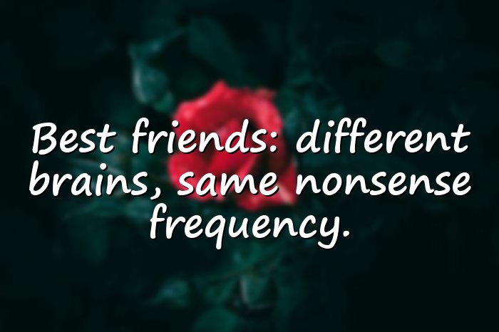 funny friendship quotes - 1