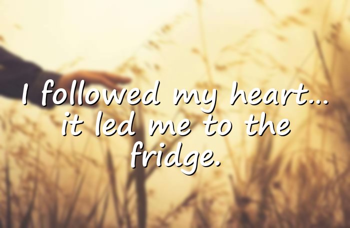 funny quotes - 21