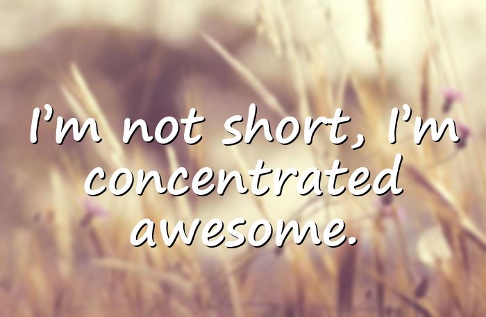funny quotes - 16