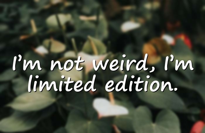 funny quotes - 6