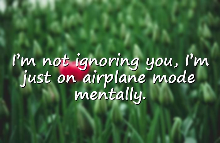 funny quotes - 21