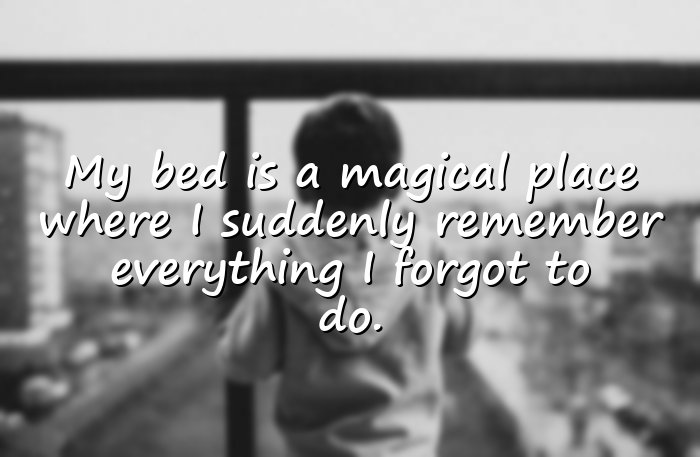 funny quotes - 11