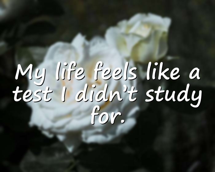 funny quotes about life - 21