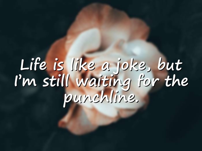 funny quotes about life - 21
