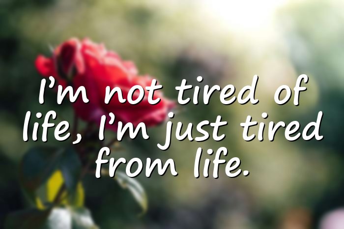 funny quotes about life - 11