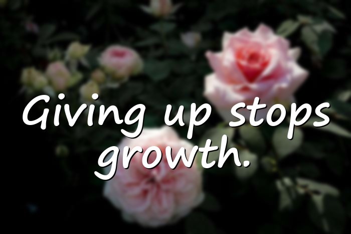 giving up quotes - 16