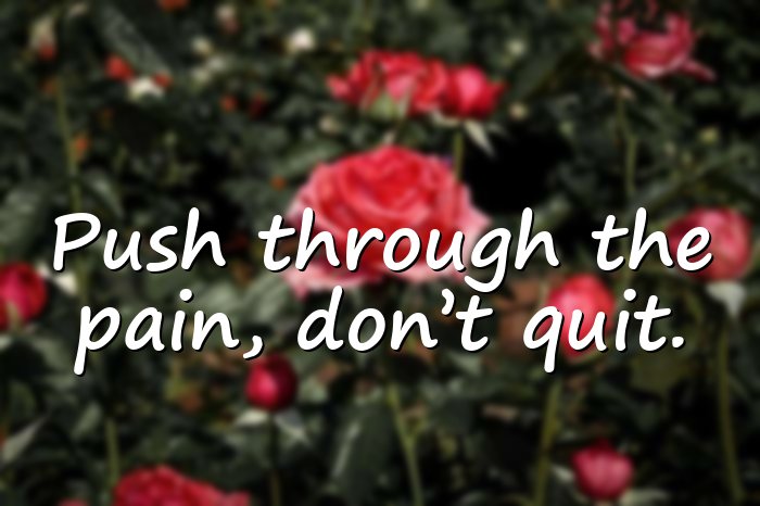 giving up quotes - 11