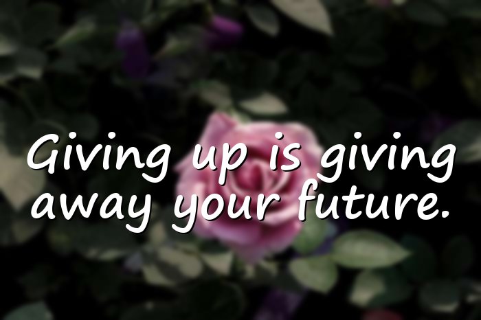 giving up quotes - 6