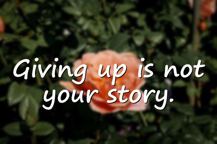 giving up quotes - 1