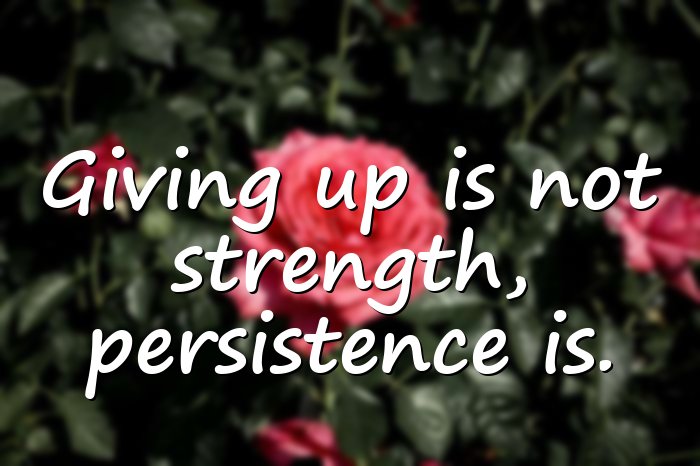 giving up quotes - 21