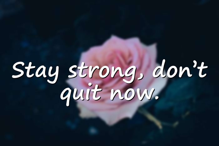 giving up quotes - 16