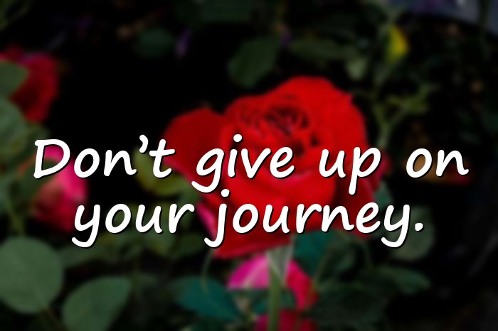 giving up quotes - 11