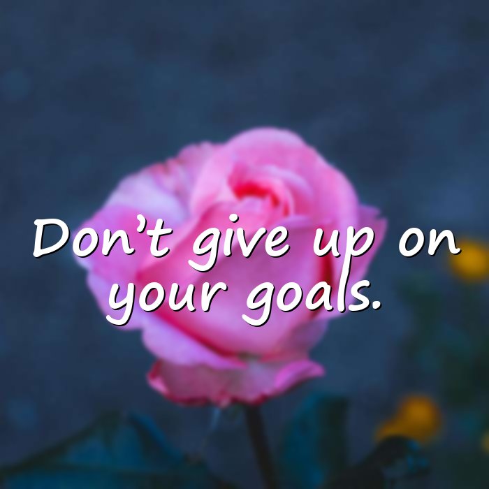 giving up quotes - 6