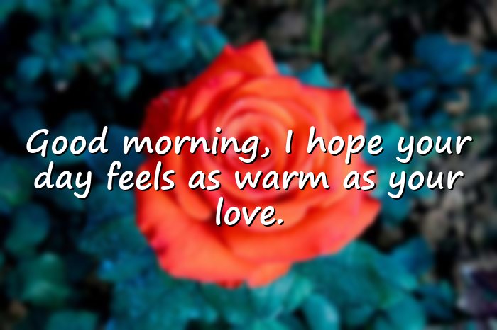 good morning quotes for love - 11