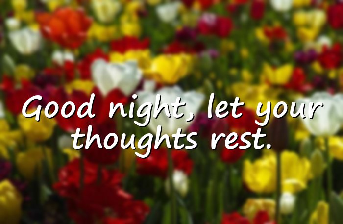 good night quotes - 16