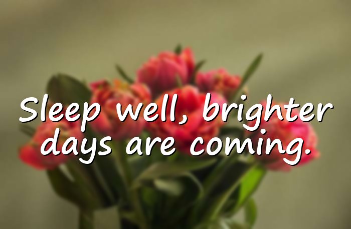 good night quotes - 11