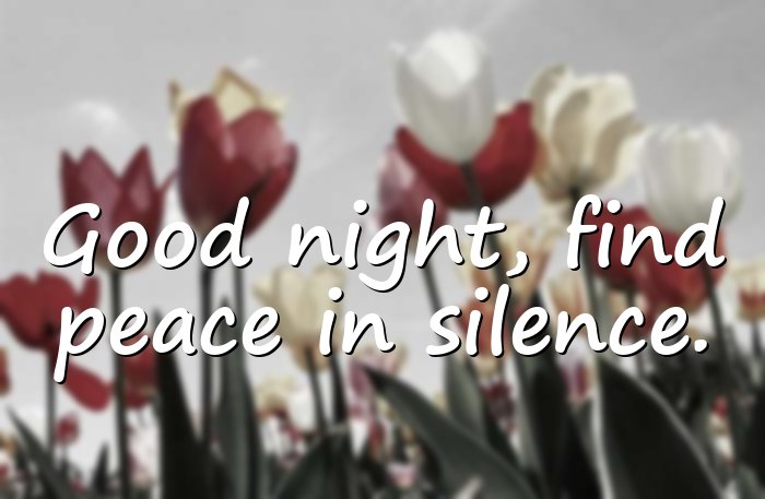 good night quotes - 6