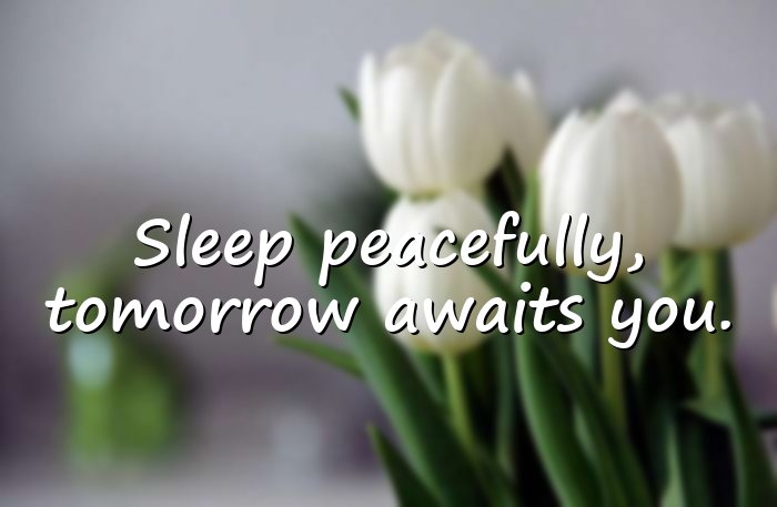 good night quotes - 1