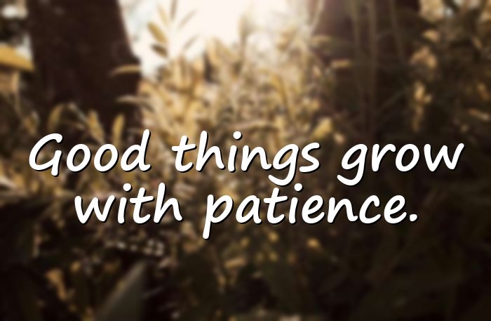 good quotes - 11