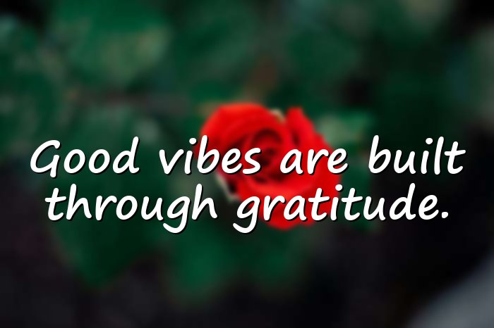 good vibes quotes - 6