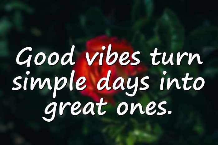 good vibes quotes - 11