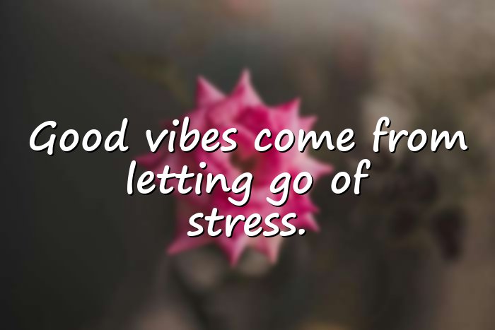 good vibes quotes - 6