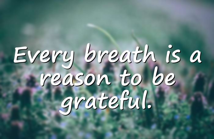grateful quotes - 11