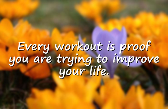 gym quotes - 6