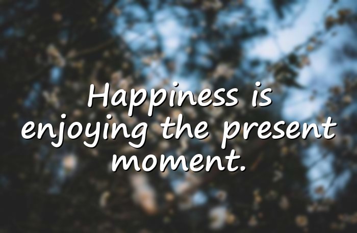 happiness quotes - 16