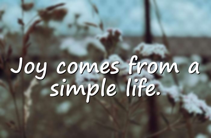 happiness quotes - 11