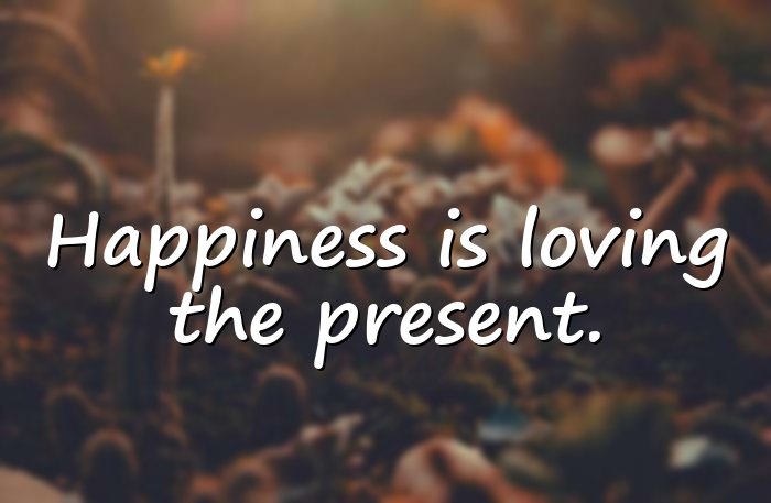 happiness quotes - 1