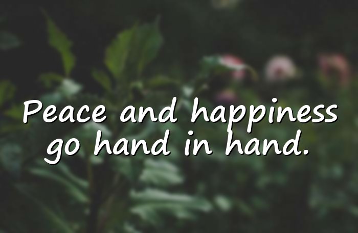 happiness quotes - 21