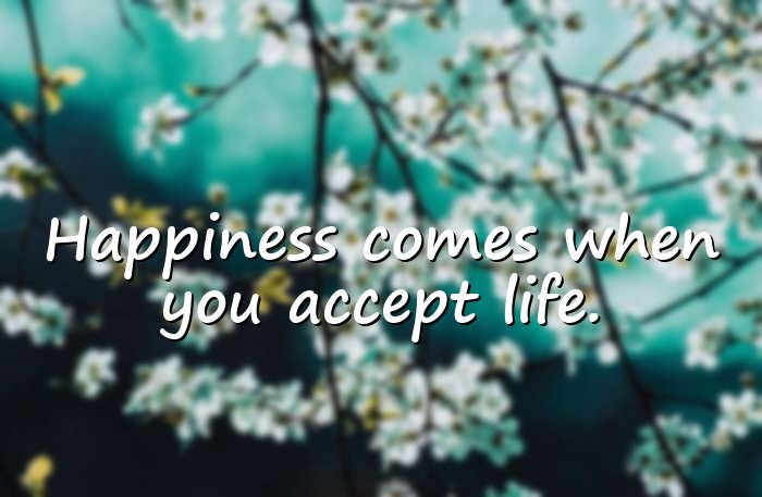 happiness quotes - 16