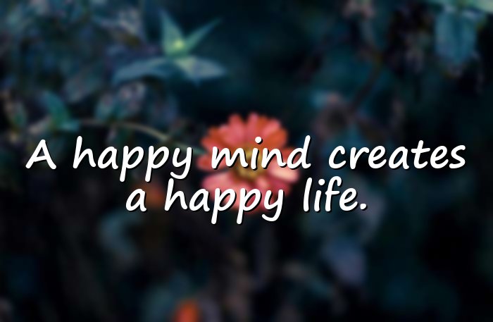 happiness quotes - 11