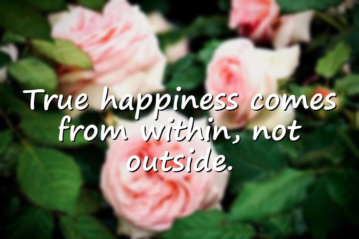 happy life quotes - 21