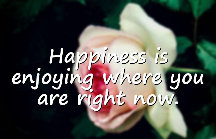 happy life quotes - 16