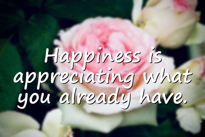 happy life quotes - 6