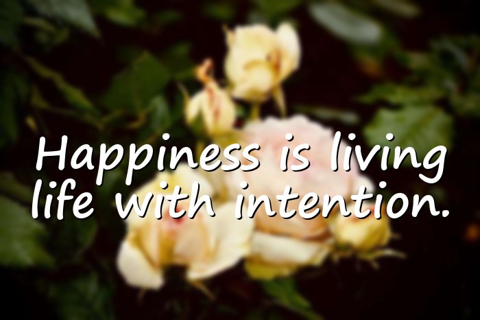 happy life quotes - 1