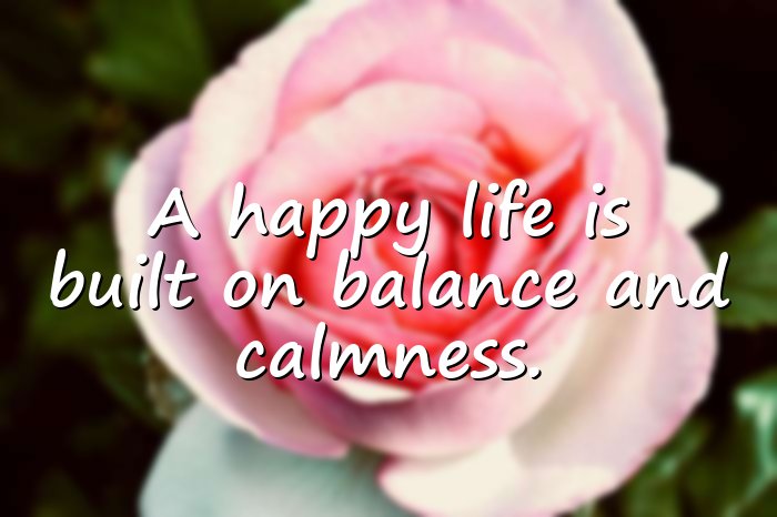 happy life quotes - 16