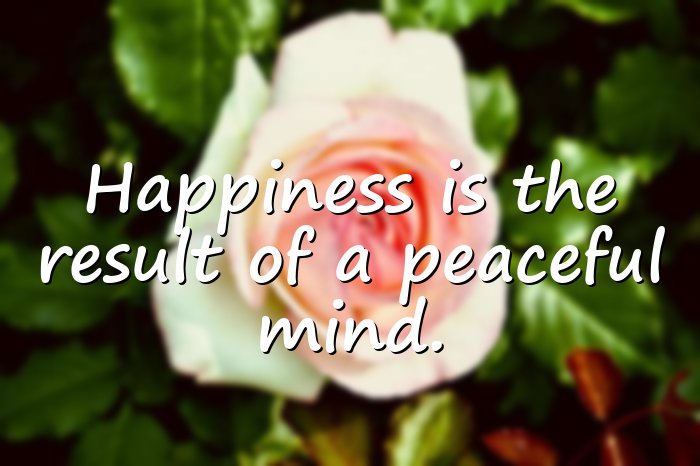 happy life quotes - 11