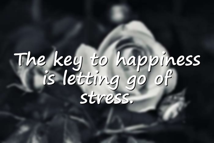 happy life quotes - 6
