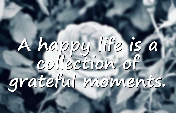 happy life quotes - 1