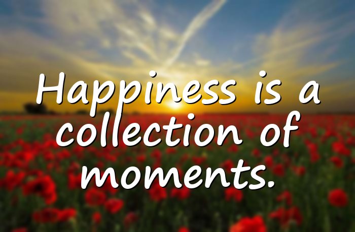 happy moments quotes - 15