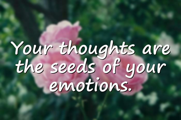 happy thoughts - 16